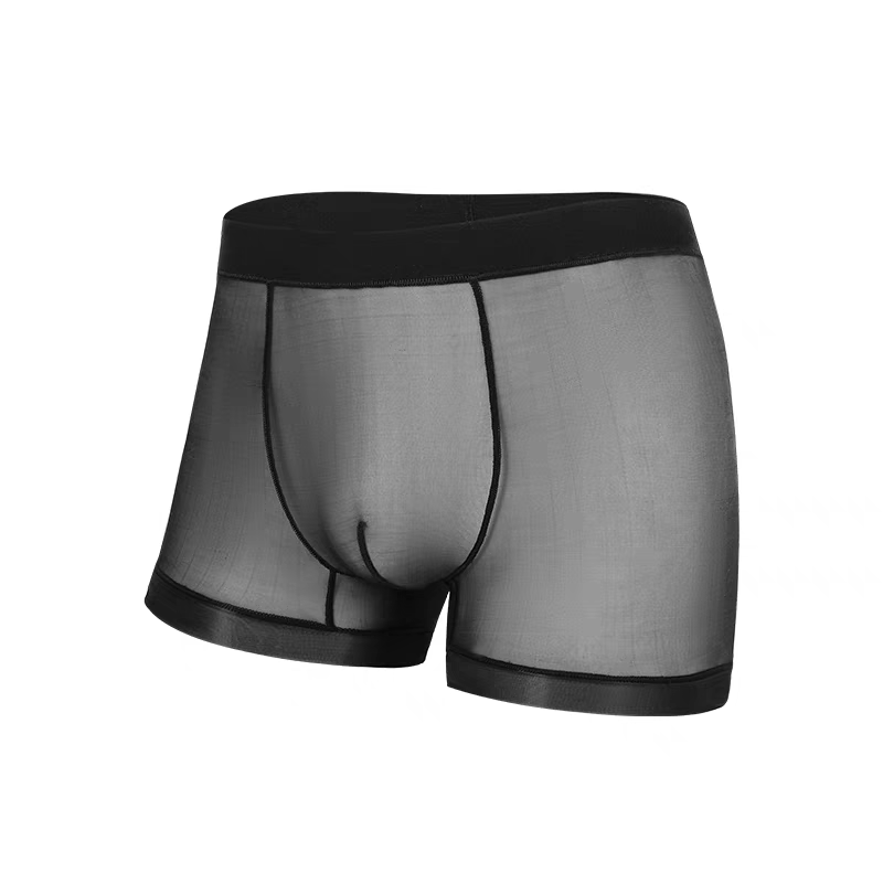 Men's Women's Transparent Boxer Briefs